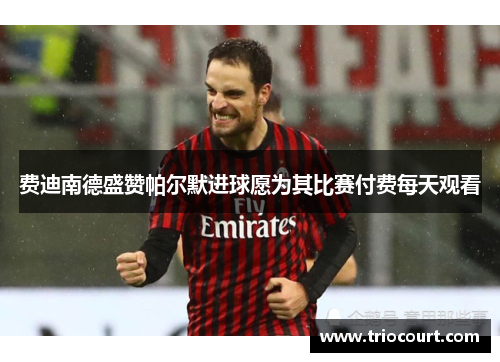 费迪南德盛赞帕尔默进球愿为其比赛付费每天观看